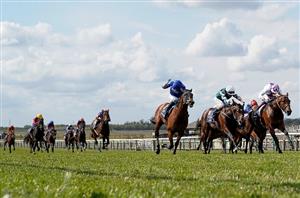 2024 2000 Guineas Tips - Two to back against City Of Troy
