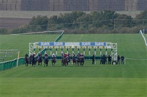 2000 Guineas Final Field and Draw - 11 colts confirmed for Newmarket Classic
