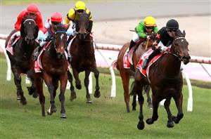 Big Bets for 04.05.2024