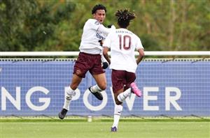 stellenbosch fc