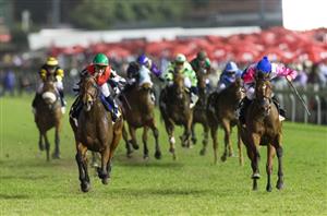 2024 Durban July News - Green With Envy the new favourite after WSB Guineas success