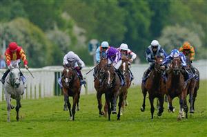 dante stakes
