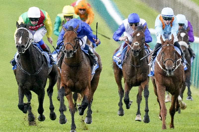 zetland stakes
