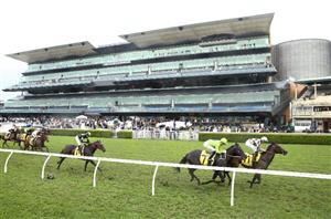 Stradbroke Handicap Latest Odds - Wide open Group 1 predicted at Eagle Farm