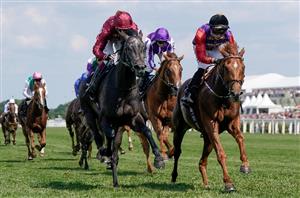 desert hero stakes