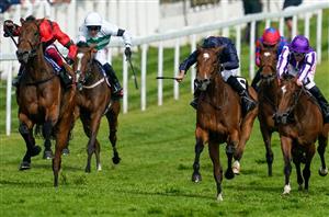 2024 Epsom Oaks Odds - Ylang Ylang tops Classic market