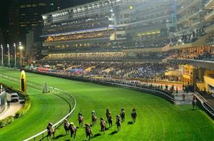 Happy Valley Tips for 24.04.2024