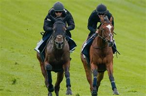 "He must have a chance" - Key quotes after Epsom's morning gallops