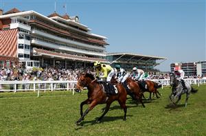 2024 Irish 2000 Guineas Odds - Rosallion leads River Tiber in Curragh betting