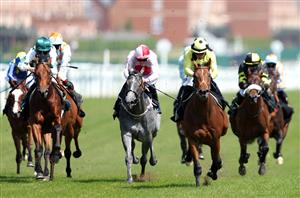 2024 Irish 2000 Guineas Tips - Hannon's star to scoop Classic success