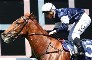 Doomben Cup Tips - Runner-by-Runner Guide for the Doomben Group 1