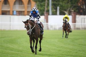 Big Bets for 25.05.2024