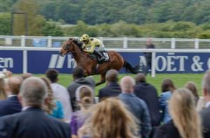 Rosallion cut into odds-on for Irish 2000 Guineas by Ladbrokes