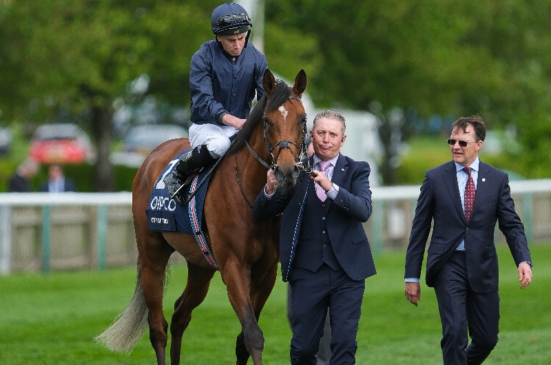 2024 Epsom Derby Odds Los Angeles and Ancient Wisdom backed against