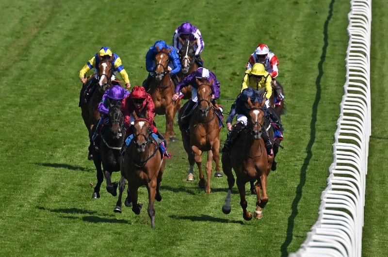 2024 Epsom Oaks Confirmed Runners Ylang Ylang heads field of 12 at Epsom