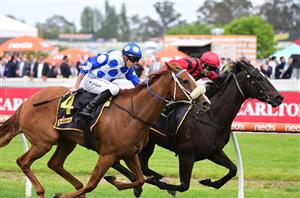 Queensland Derby Tips - Autumn Angel backed in Eagle Farm Group 1