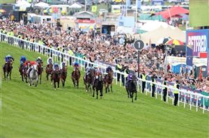 2024 Epsom Derby Confirmed Runners - 16 colts confirmed, with City Of Troy drawn one