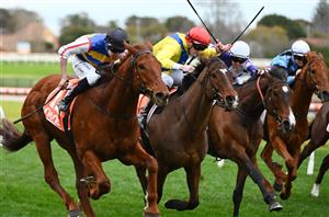 Big Bets for 01.06.2024