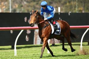 Kingsford Smith Cup Tips - Runner-by-Runner Guide for the Eagle Farm Group 1