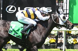 Queensland Derby Tips - Runner-by-Runner Guide for the Eagle Farm Group 1