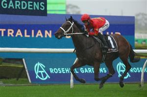 Big Bets Results from 01.06.2024