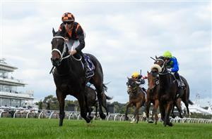 Queensland Oaks 2024 Barrier Draw & Final Field