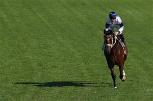 Queensland Oaks Tips - Mare Of Mt Buller to upset stablemate at Eagle Farm?