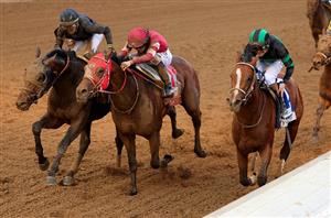 2024 Belmont Stakes Tips - Favourite to fly home at Saratoga