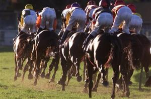 Queensland Oaks Tips - Runner-by-Runner Guide for the Eagle Farm Group 1