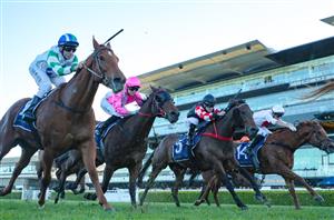 Artistic 26/12/2025 Horse Racing Tips And Best Bets – Randwick, Summer Cup Day Photo for Your Screen Artistic 26/12/2025 Horse Racing Tips And Best Bets – Randwick, Summer Cup Day Photo for Your Screen