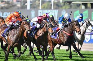 Flemington Tips - Best & Value Bets for June 8