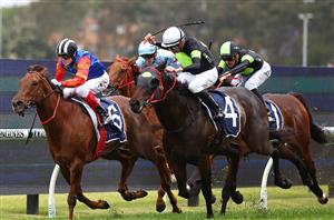 Stradbroke Handicap 2024 Barrier Draw & Final Field