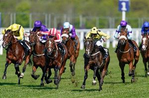 2024 Commonwealth Cup Odds - Inisherin leads Vandeek in Ascot market