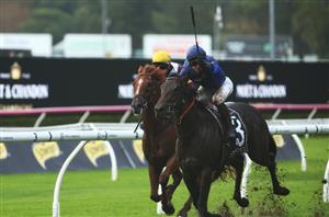 Big Bets for 15.06.2024