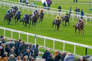 York races