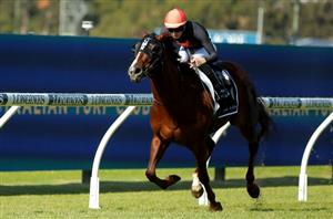 Stradbroke Handicap Tips - Runner-by-Runner Guide for the Eagle Farm Group 1