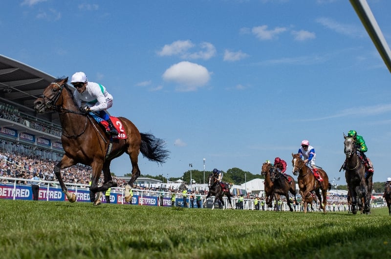 torito epsom torito epsom