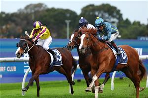 Big Bets Results - June 15