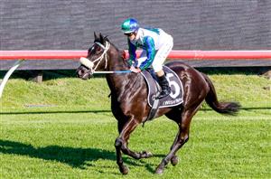 Everest Odds