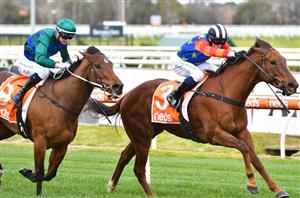 Tattersall's Tiara Odds - Bella favourite for Eagle Farm Group 1
