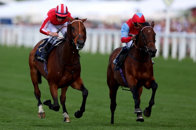 ascot