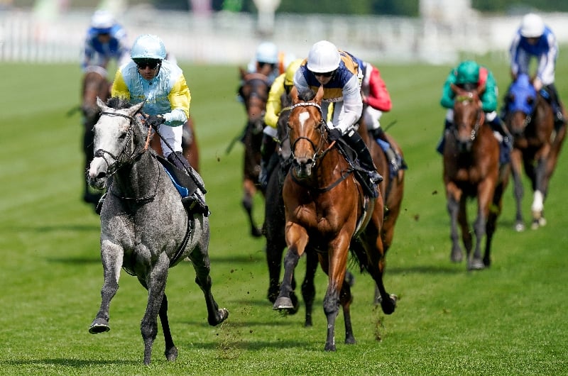 ascot