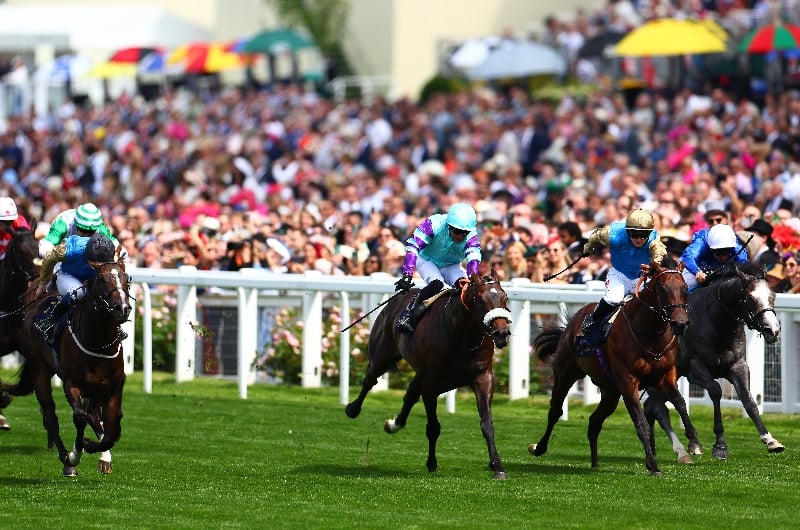 ascot