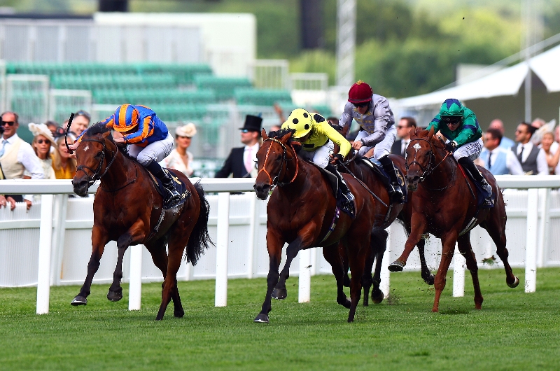 ascot