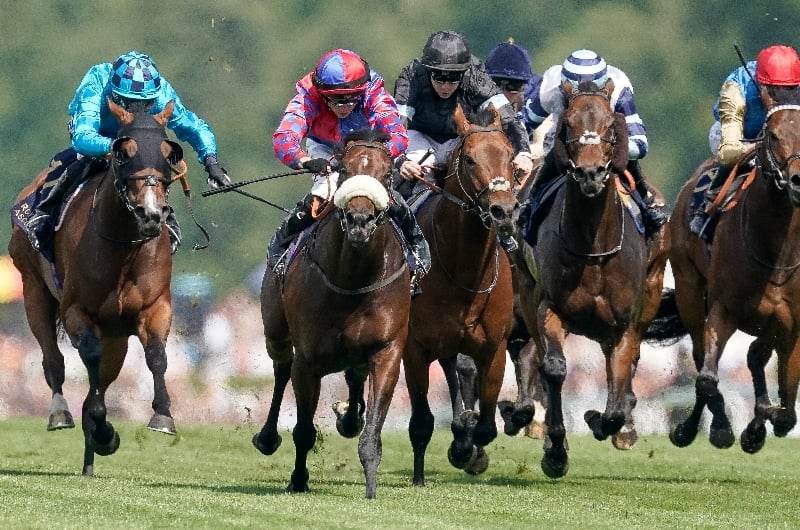 ascot