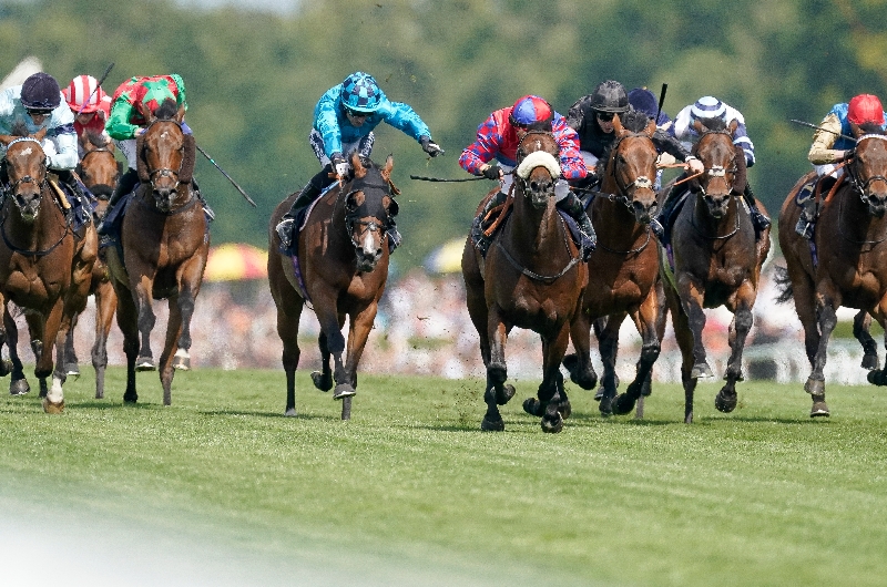 ascot