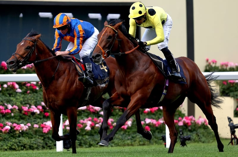 ascot