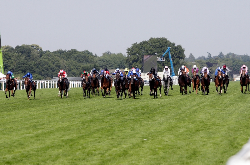 royal hunt cup