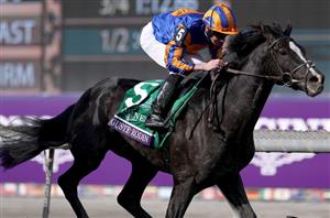 2024 Prince Of Wales's Stakes Tips - New favourite should prove hard to beat