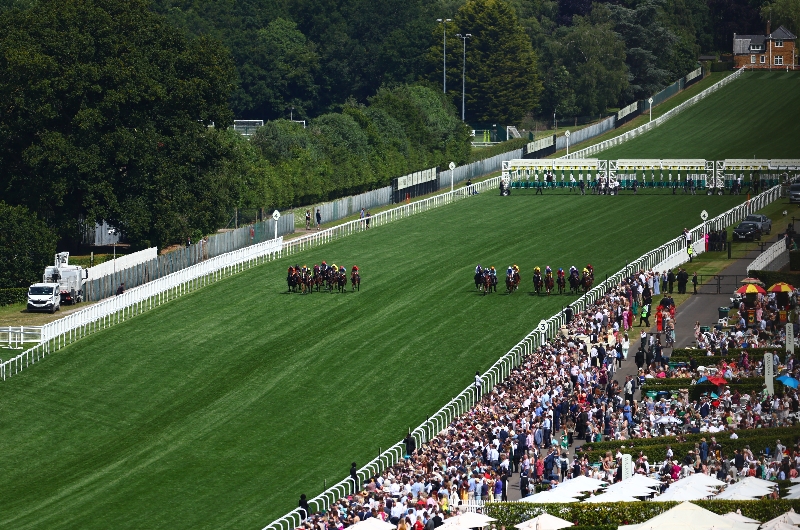 Ascot Ascot